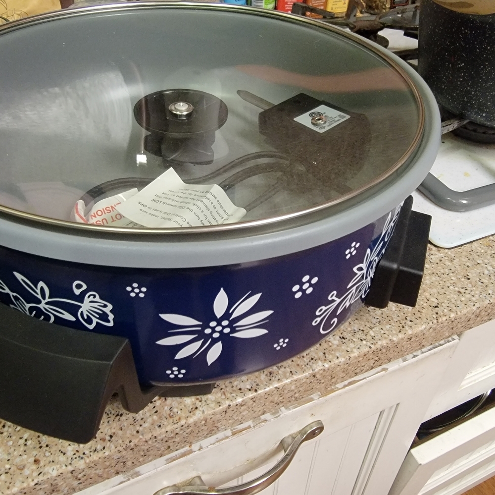 Blue Temptations 12" deep electric skillet